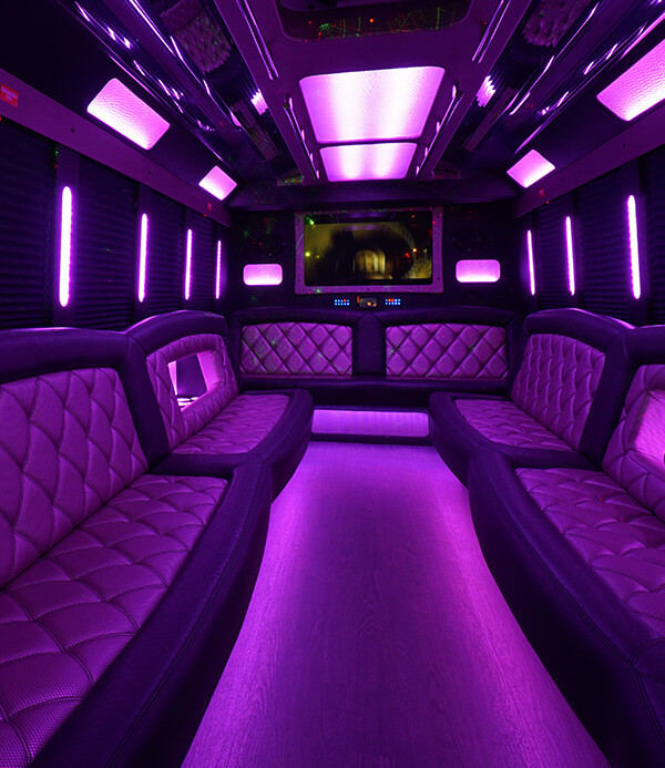 28-passenger party bus rental