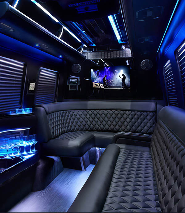 Woodbridge sprinter vans