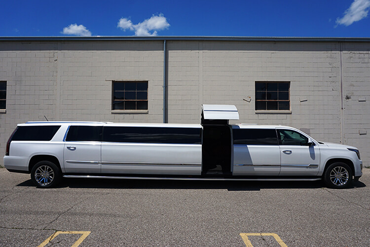 best Party Buses in Virginia