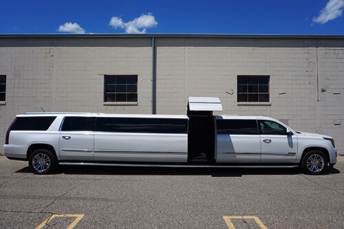 Limo rental professional service